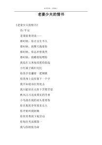 老妻少夫的情书