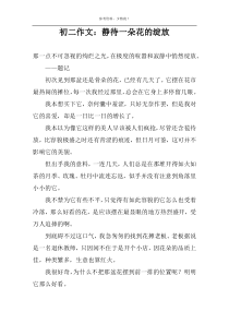 初二作文：静待一朵花的绽放