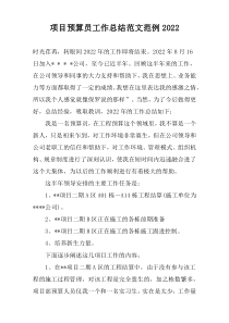 项目预算员工作总结范文范例2022
