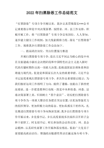 2022年扫黑除恶工作总结范文