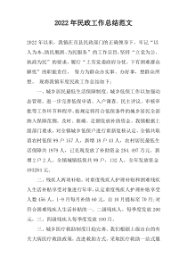 2022年民政工作总结范文