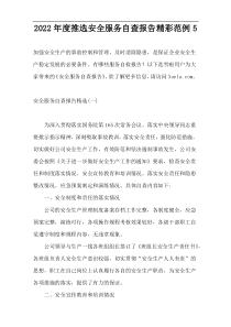 2022年度推选安全服务自查报告精彩范例5