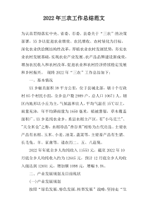 2022年三农工作总结范文