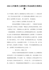 2022公司新员工试用期工作总结范文范例五篇