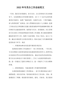 2022年专员办工作总结范文