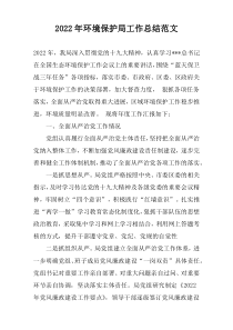 2022年环境保护局工作总结范文