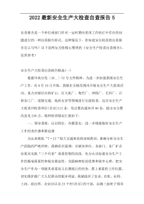 2022最新安全生产大检查自查报告5