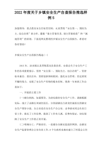 2022年度关于乡镇安全生产自查报告推选样例5