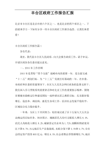 丰台区政府工作报告汇报