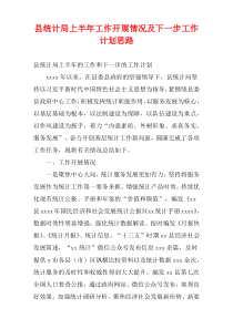县统计局上半年工作开展情况及下一步工作计划思路