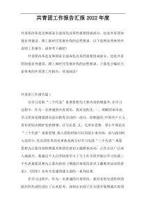 共青团工作报告汇报2022年度