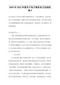 3000字2022年度关于电子商务实习总结经典5