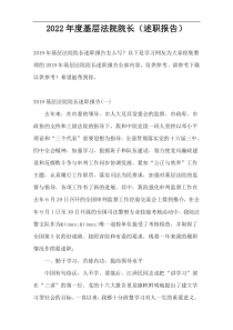 2022年度基层法院院长（述职报告）