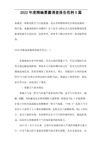 2022年度精编雾霾调查报告范例5篇