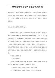 精编会计学社会调查报告范例5篇