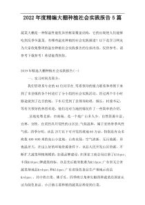 2022年度精编大棚种植社会实践报告5篇