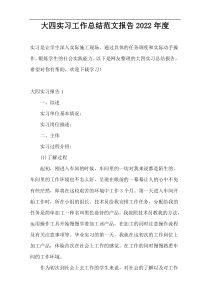 大四实习工作总结范文报告2022年度
