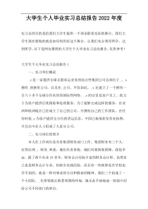 大学生个人毕业实习总结报告2022年度