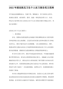 2022年度法院见习生个人实习报告范文范例