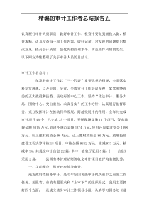精编的审计工作者总结报告五