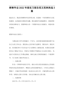 销售毕业2022年度实习报告范文范例热选5篇