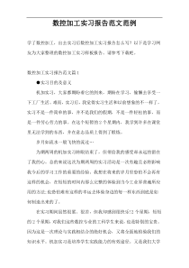 数控加工实习报告范文范例