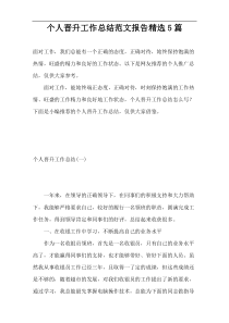 个人晋升工作总结范文报告精选5篇