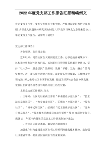 2022年度党支部工作报告汇报精编例文