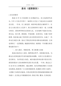 县长（述职报告）