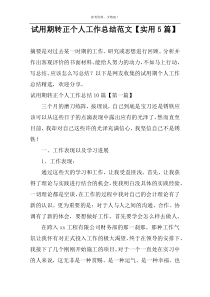 试用期转正个人工作总结范文【实用5篇】