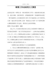 销售工作总结范文【精】