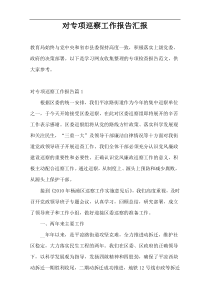 对专项巡察工作报告汇报