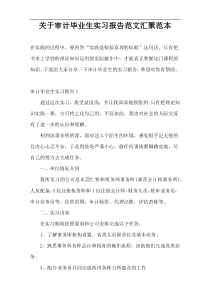 关于审计毕业生实习报告范文汇聚范本