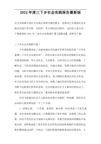 2022年度三下乡社会实践报告最新版