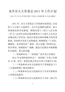 市人大常委会XXXX年工作计划