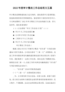 2022年度审计整改工作总结范文五篇