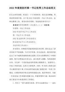 2022年度度驻村第一书记优秀工作总结范文