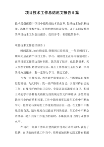 项目技术工作总结范文报告5篇