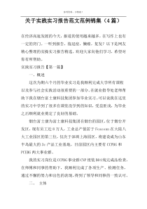 关于实践实习报告范文范例锦集（4篇）