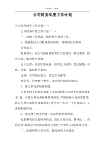 公司财务年度工作计划