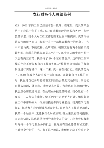 农行财务个人总结范例