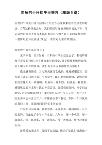 简短的小升初毕业感言（精编5篇）