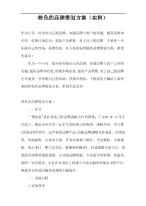 特色的品牌策划方案（实例）