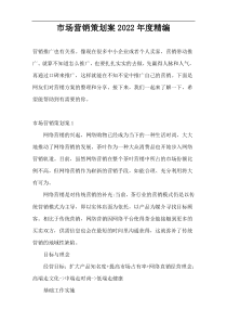 市场营销策划案2022年度精编