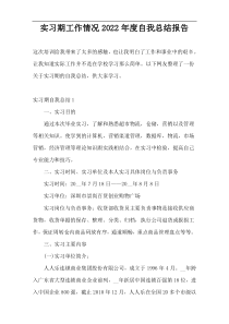实习期工作情况2022年度自我总结报告