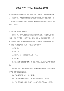 3000字生产实习报告范文范例