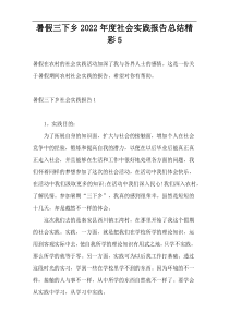 暑假三下乡2022年度社会实践报告总结精彩5