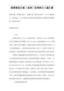 营销策划方案（实例）优秀例文5篇汇集