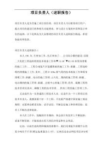 项目负责人（述职报告）