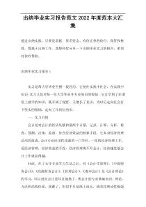 出纳毕业实习报告范文2022年度范本大汇集